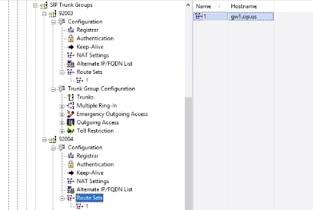 mitel-5000-sip-menu-routes-set-hostname.jpg